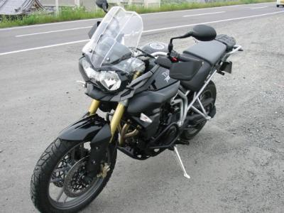 Tiger800